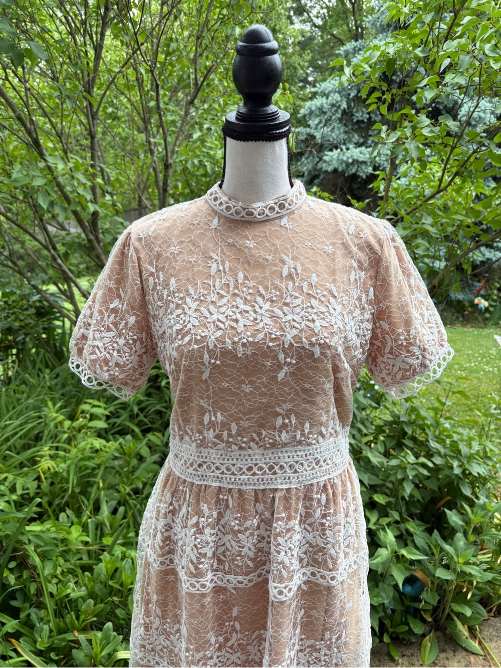 Delicate Beige Lace-Overlay Midi Dress - Picture 3 of 9